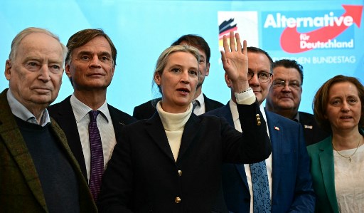 GERMANY-POLITICS-PARLIAMENT-PARTIES-AFD-VOTE