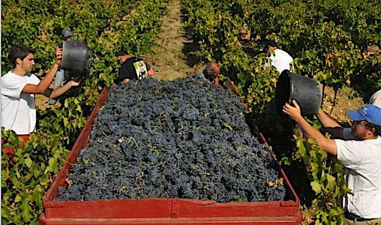 NVO, la Nouvelle vie ouvriere, le journal de l’actualité sociale, syndicale et juridique