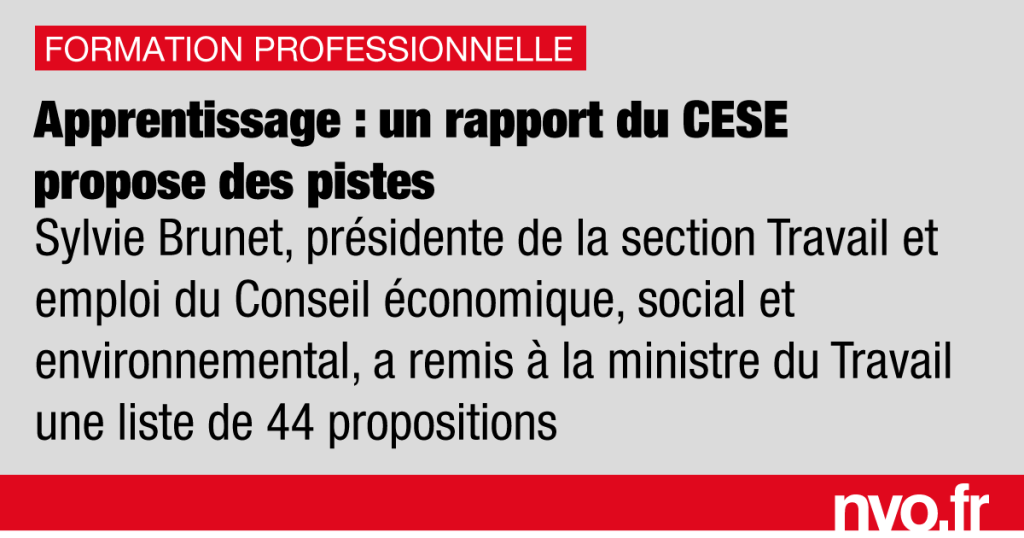 NVO – La Nouvelle Vie Ouvrière, le magazine des militants de la CGT, actualité sociale et juridique - apprentissage un rapport du CESE propose des pistes